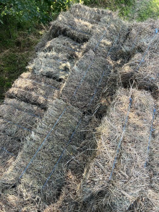 Vând boloți de fân 1000 de bucați