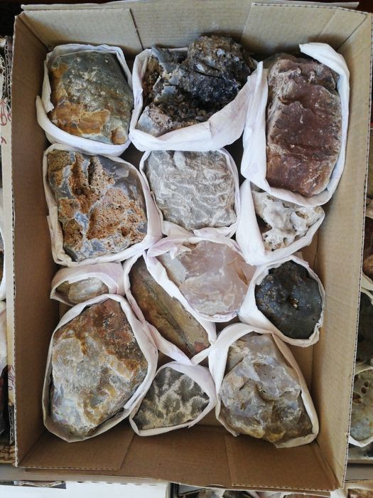Кутия с минерали и фосили