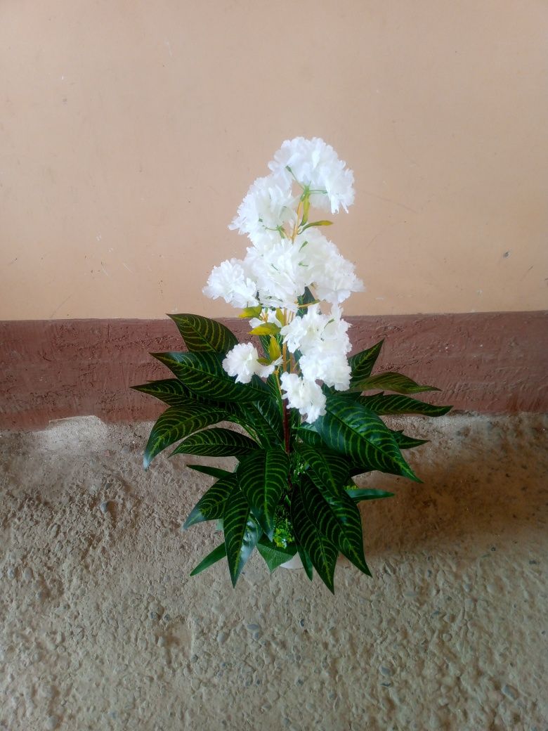 Katta Suniy gullar