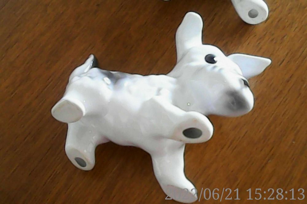 Catelusi Portelanul Alba Iulia