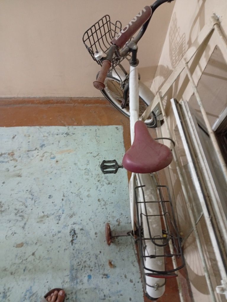 Velik Yengi pashti minilmagan