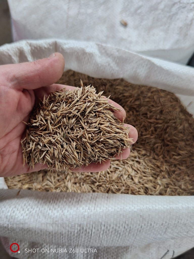 Samanta iarba coasă,pasune, terasamente, Amestec 3 feluri