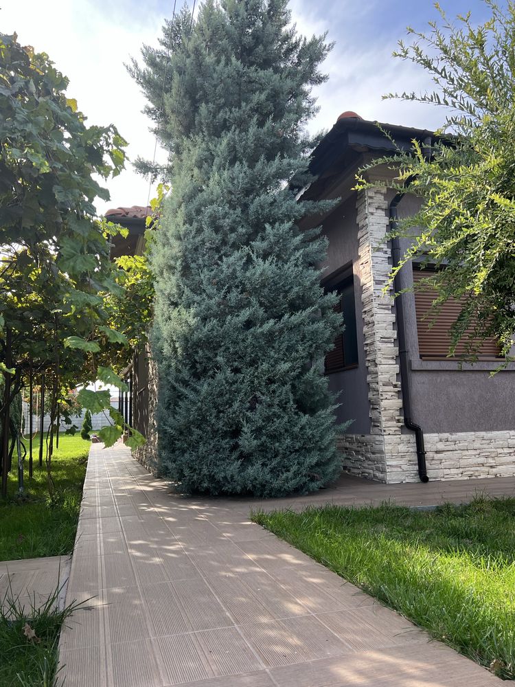 Продавам къща в село Стефаново,община Добрич