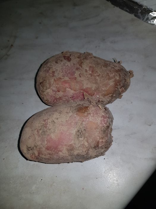 Kartoshka картошка