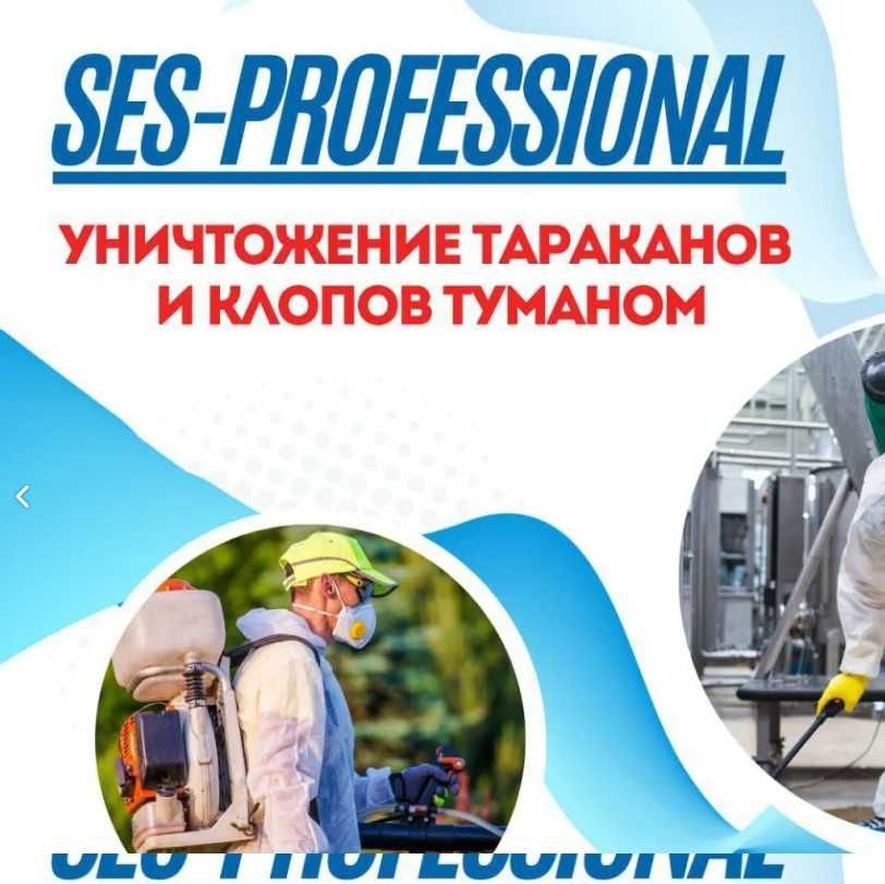 Дезинсекция Уничтожение тараканов клопов Обработка Dezinfeksiya