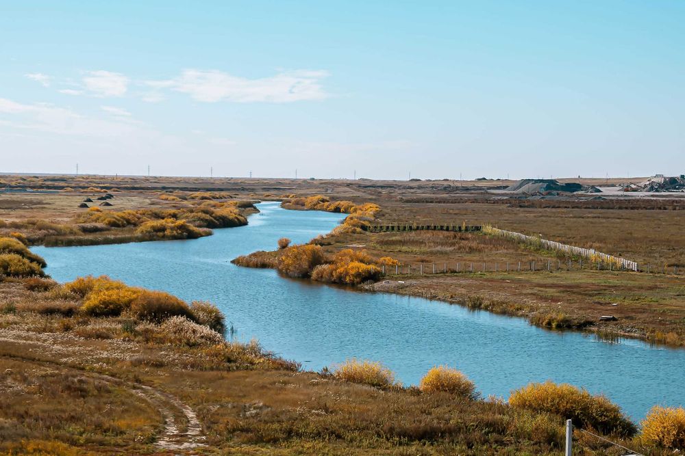Большой участок под застройку в Косшы- выгодное предложение