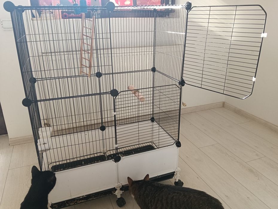 Vând colivie papagali