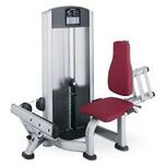 Фитнес уред Life Fitness Signature Series Calf Extension