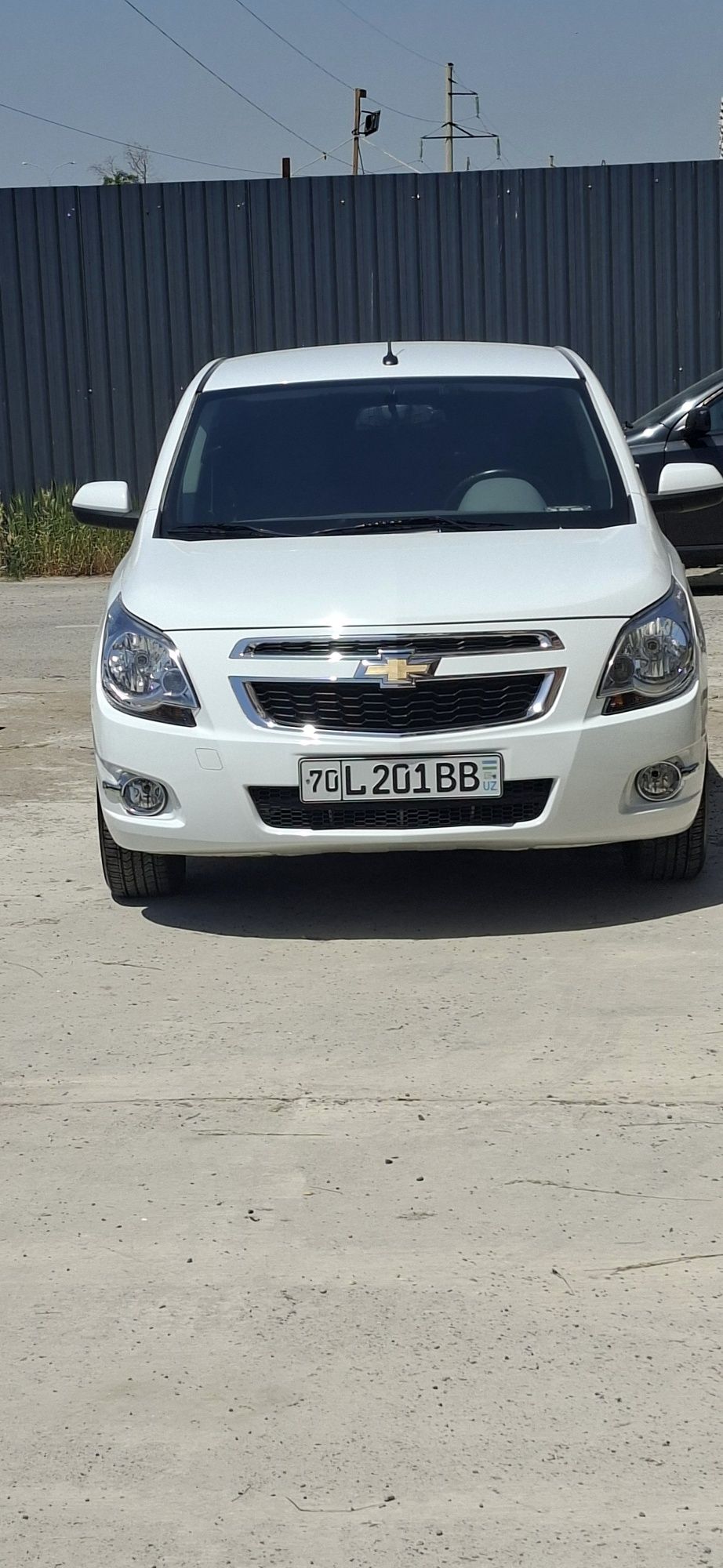 Cobalt LTZ 4 Pazitsiya
