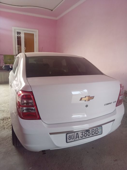 Тайёр янги кобалт