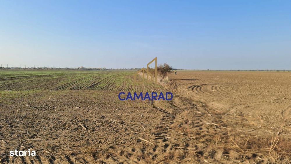 Teren intravilan de vanzare - zona industriala Domnesti/A1