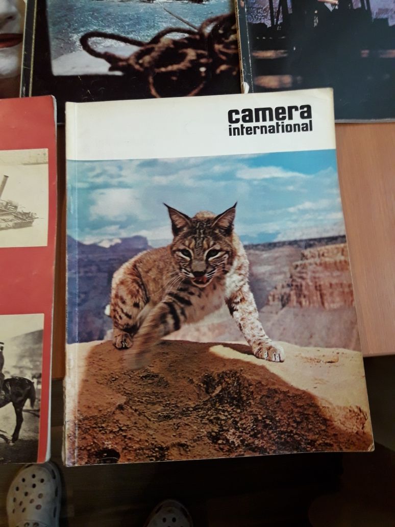 Colecție Camera International anii 1964 și 1965