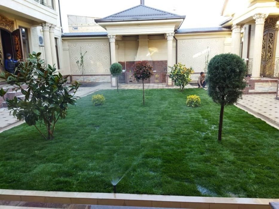 Gazon ekish.  xizmati