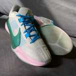 Nike Giannis freak 5