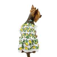 Рокля за куче Кучешки рокли Рокли за кучета Кучешка рокля