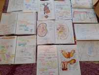 Portofolii admitere medicina