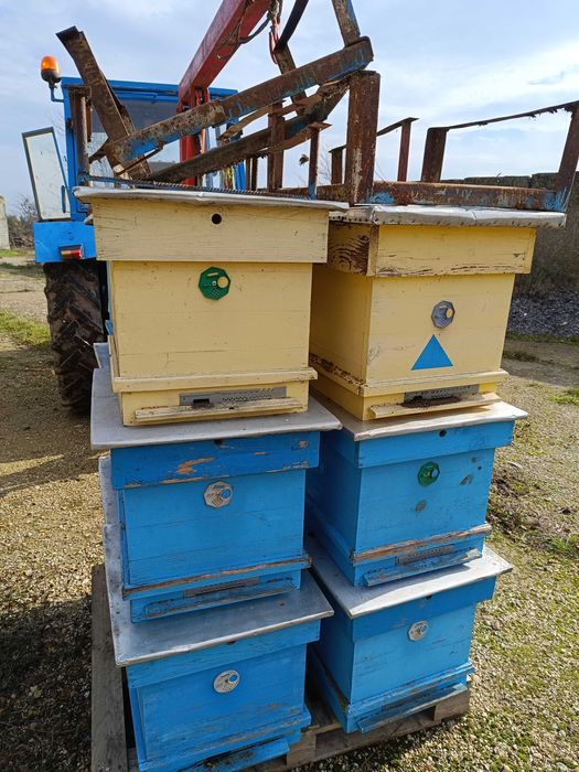 Пчелни кошери с магазини