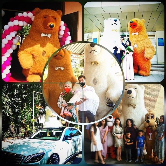 Ayiqlar,oformleniya xizmati! Skidkada%