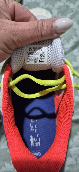 Lacoste Scale II nr 41