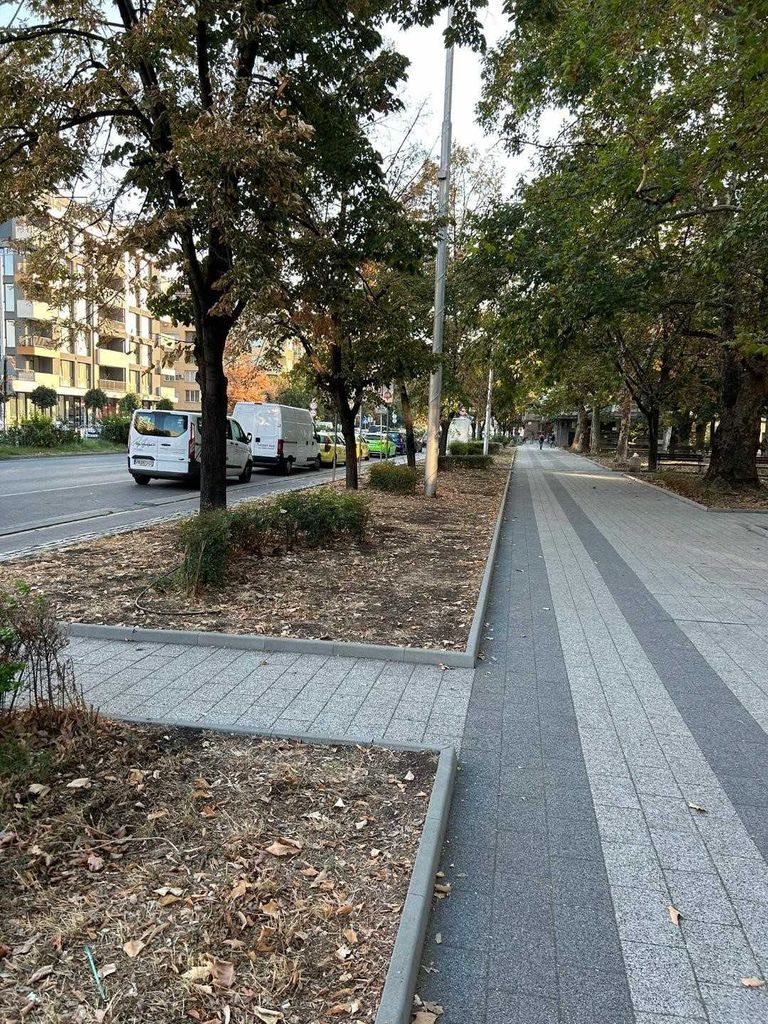 Продава се Тристаен апартамент в Пловдив, Каменица 1 - 100 кв.м за 1470 €/кв.м - Снимка #10