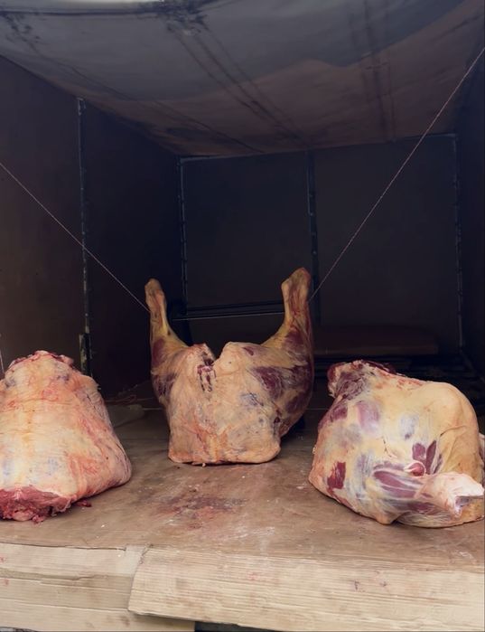 Мясо говядина / Туша / половина любой вес на заказ 1 день