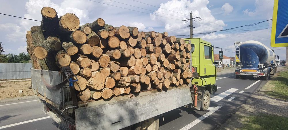 Lemn de foc uscat livrare în aceasi zi