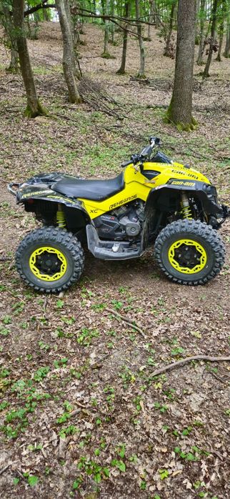 vand can am renegade