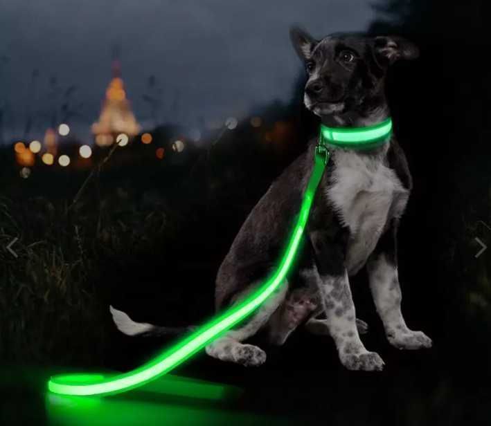 Lesa pentru caini cu lumina LED, Galbena, cu baterii