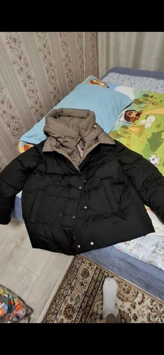 прадам дими сезон