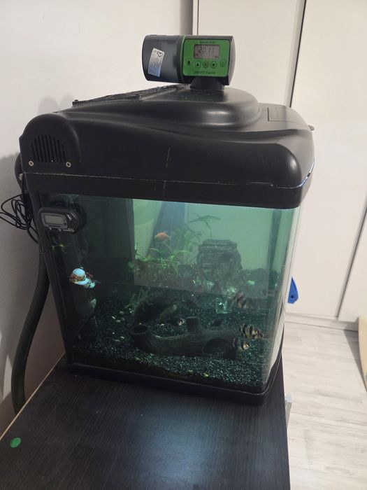Acvariu complet cu filtru extern de vazare