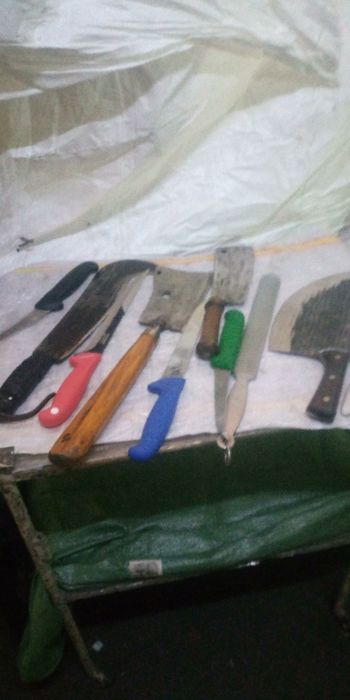 Satare pt tomcat carne