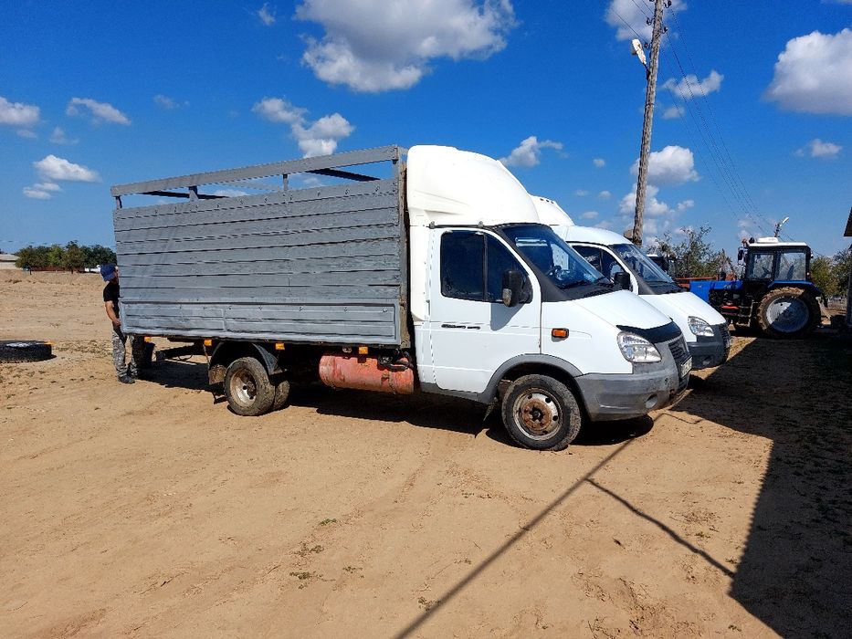 Скотовоз Мал тасу