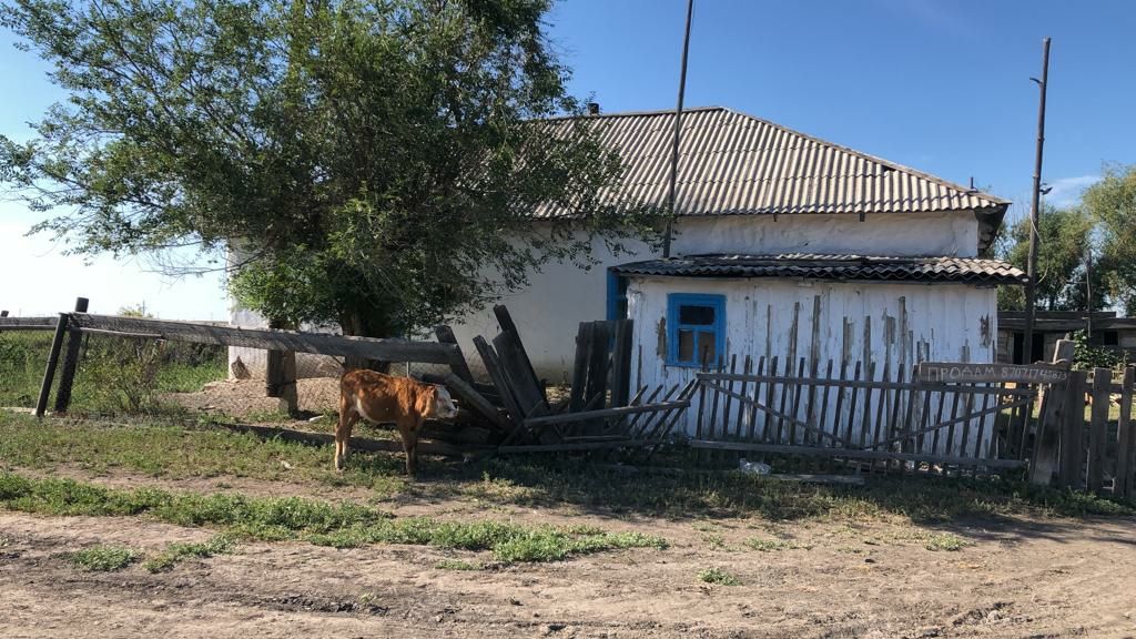 Продам дом рядом с озером, за сараем заливные луга.