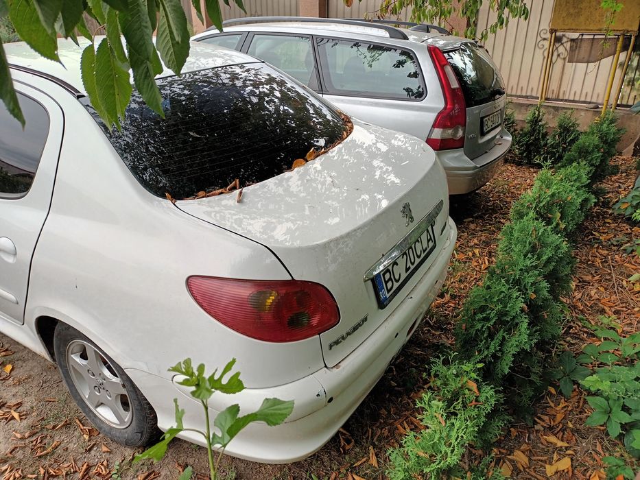 Volvo V50 + Peugeot 206