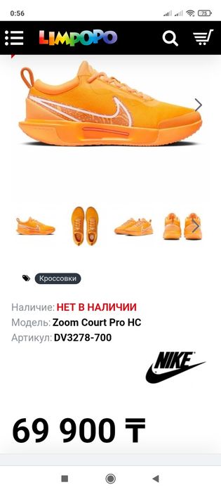 Nike zoom court pro hc