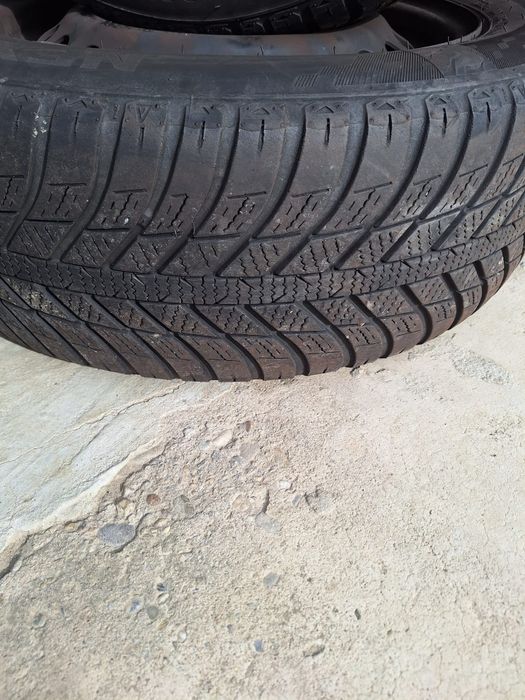 Cauciucuri de iarna 205/55/R16 Nexen