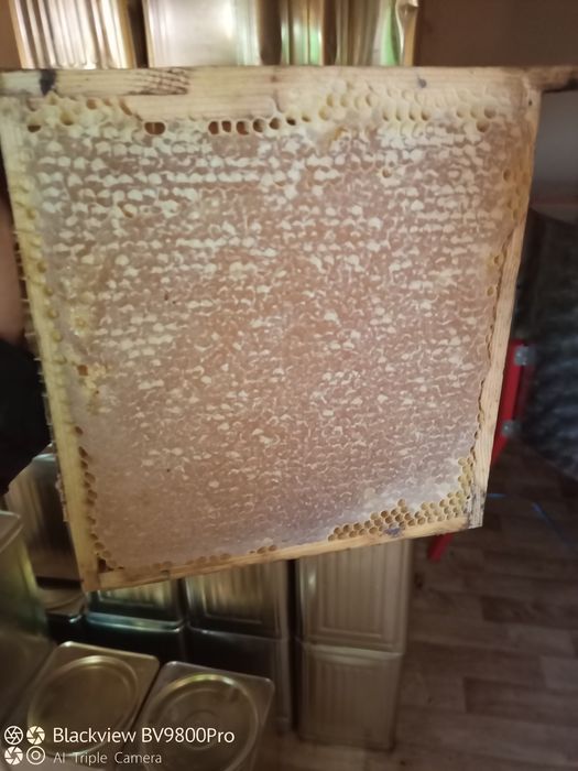 Пчелен прашец. Пчелен мед. Пчелна пита. Перга