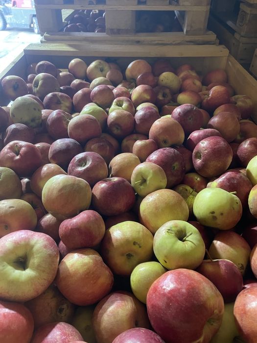 Яблоки оптом айдаред