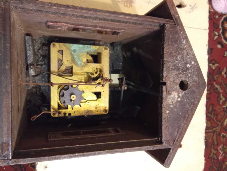 Cras pendula ptr.piese.