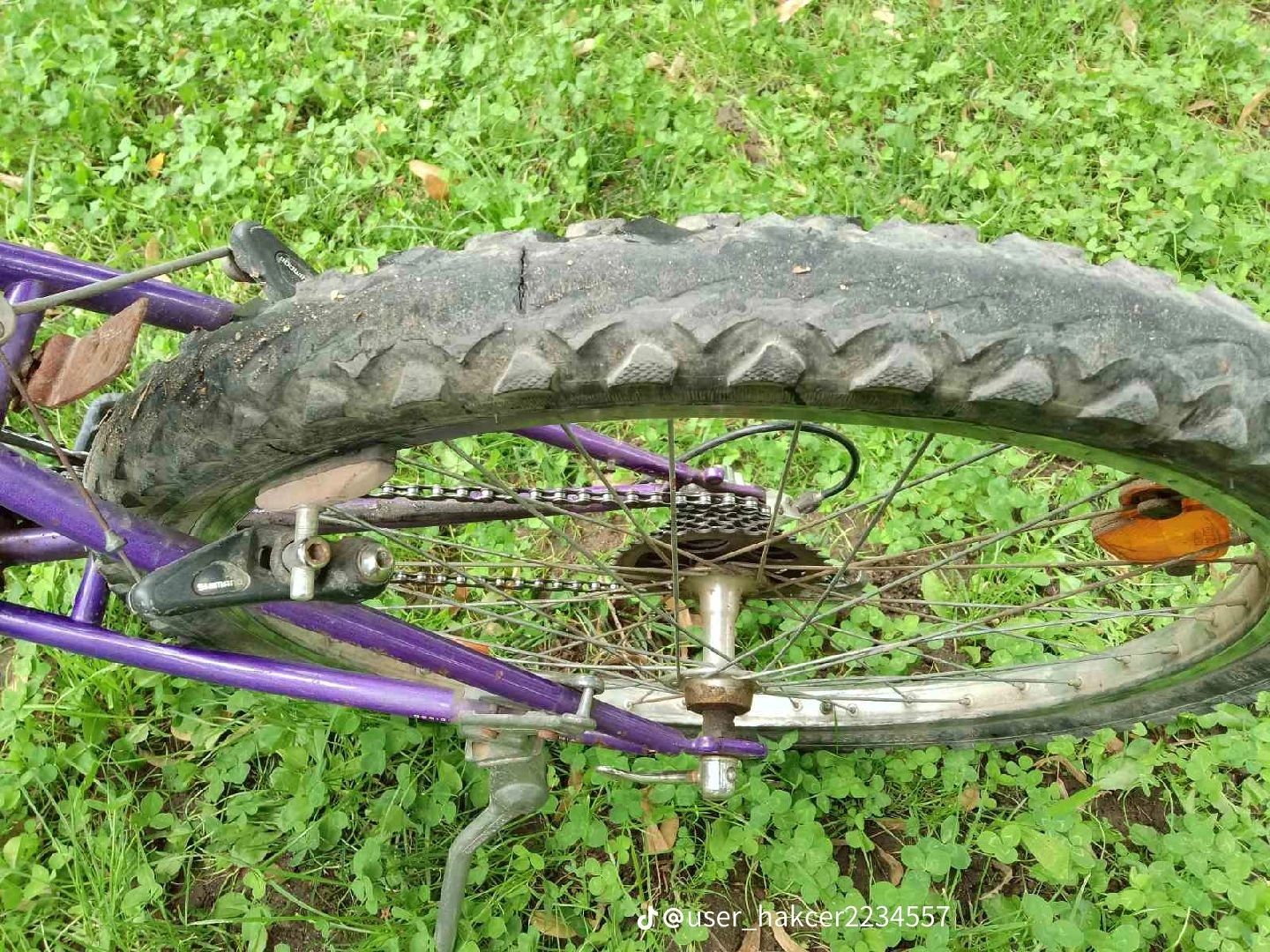 Велосипед Specialized