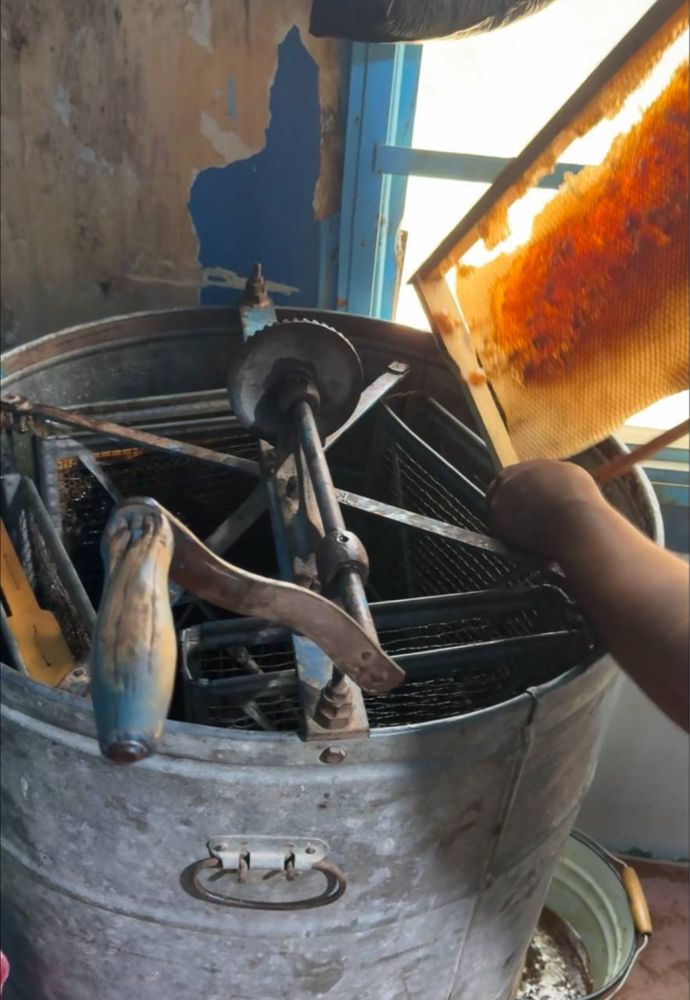 *Акция Мёд , Акция Асал , Sale Honey