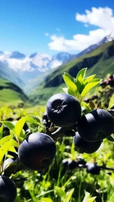 Mar Deosebit ( Soiul Black Diamond )