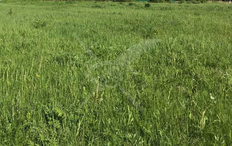 Парцел Магистрала Тракия/Пловдив 93977