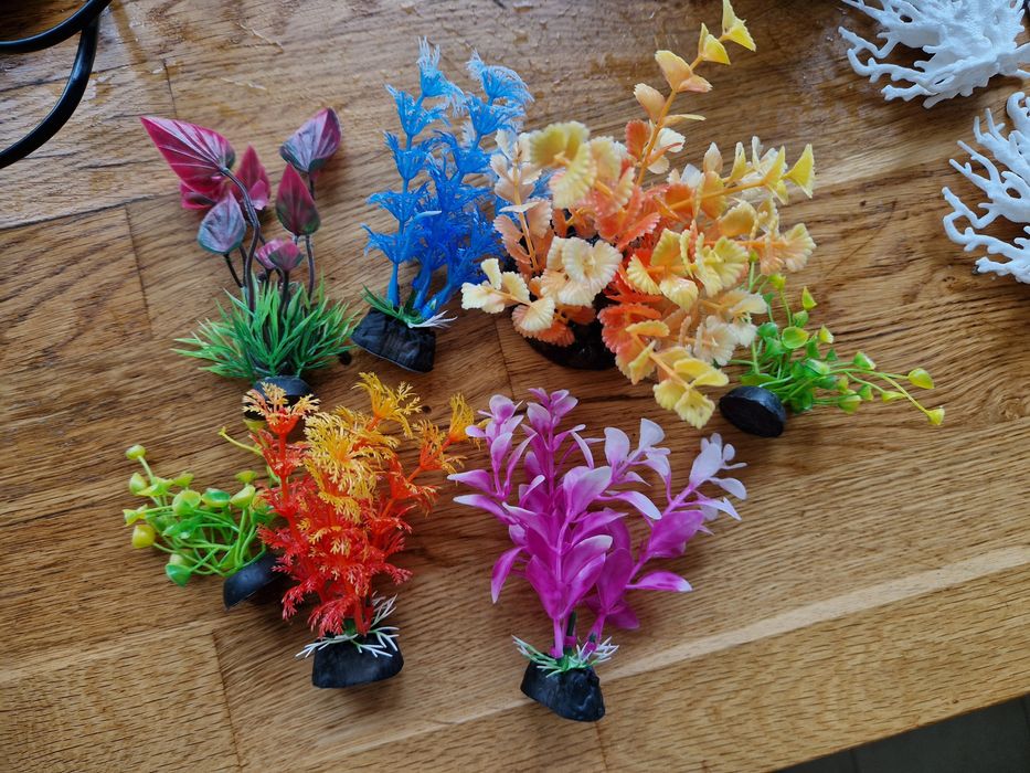 Acvariu de 60 de litri cu accesorii