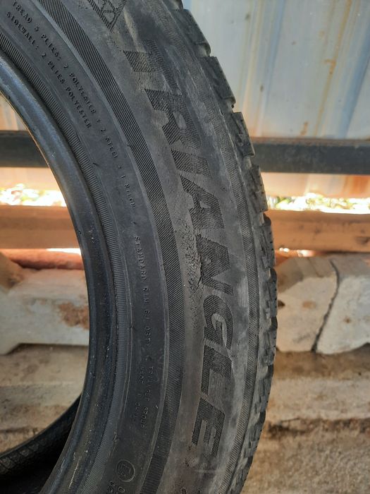 Зимние шины тригианже