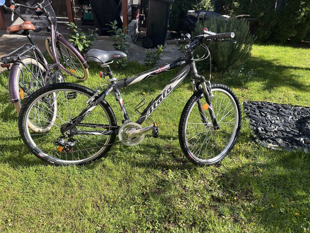 Bicicleta Mountain Bike 21 de viteze