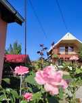 Casa in Dofteana - Bacau, stare foarte buna