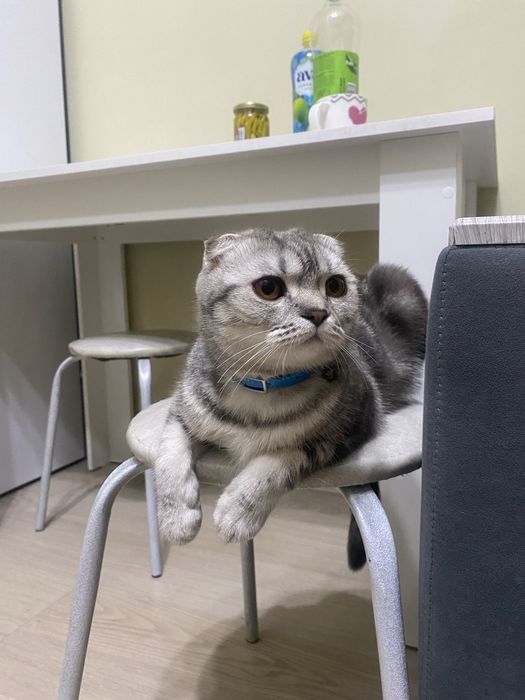 срочна продам причина уежаю в другой город