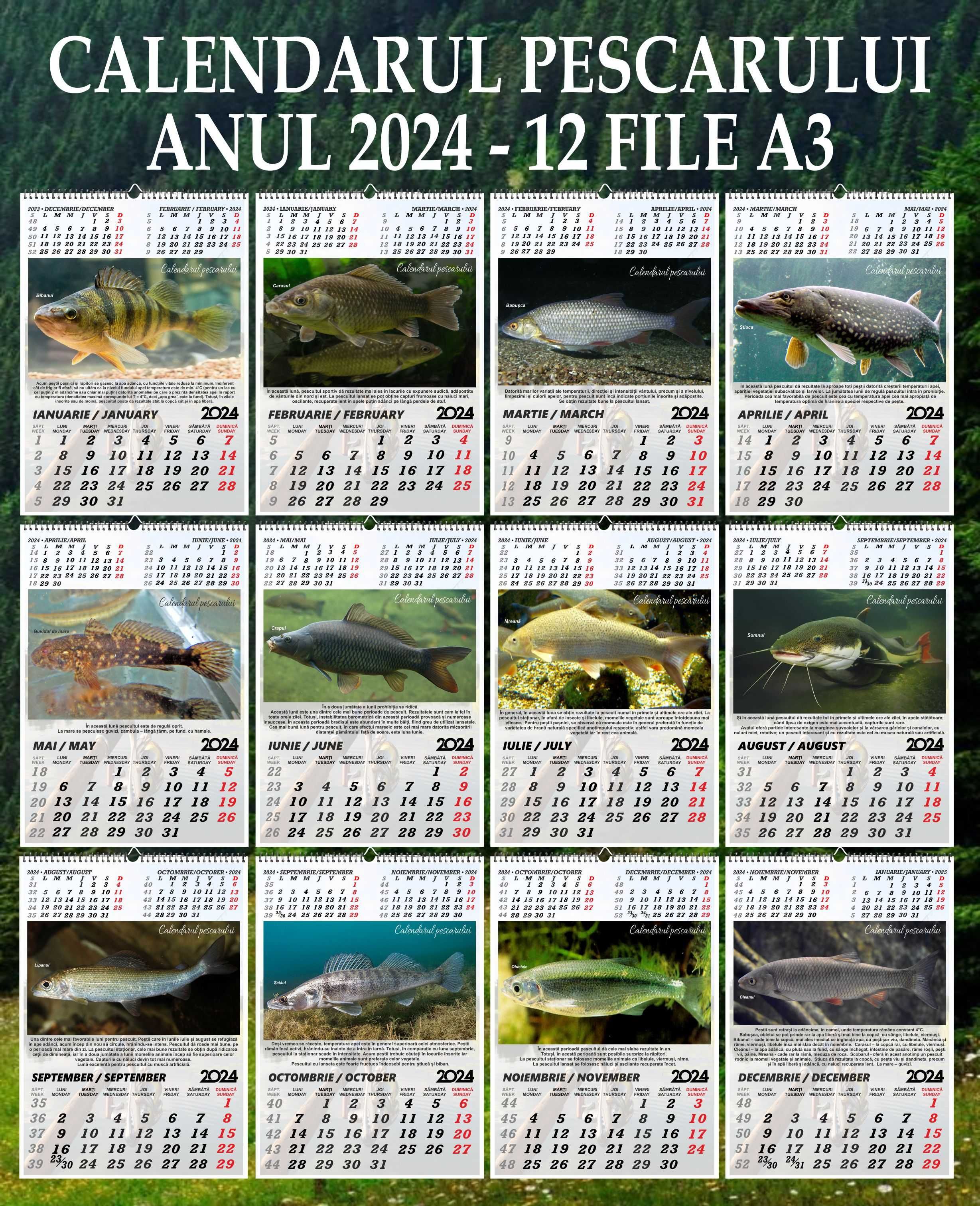 Calendarul Pescarului 2024 - 12 file A3