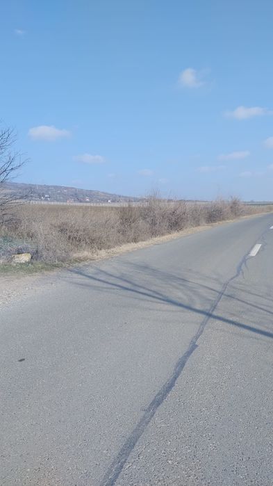 Vand proprietate aflata pe Drumul Vinului in com. Pietroasele, Merei